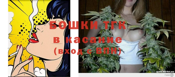 spice Горнозаводск